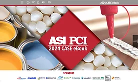 PCI/ASI case ebook