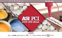 PCI/ASI case ebook PCI/ASI case ebook