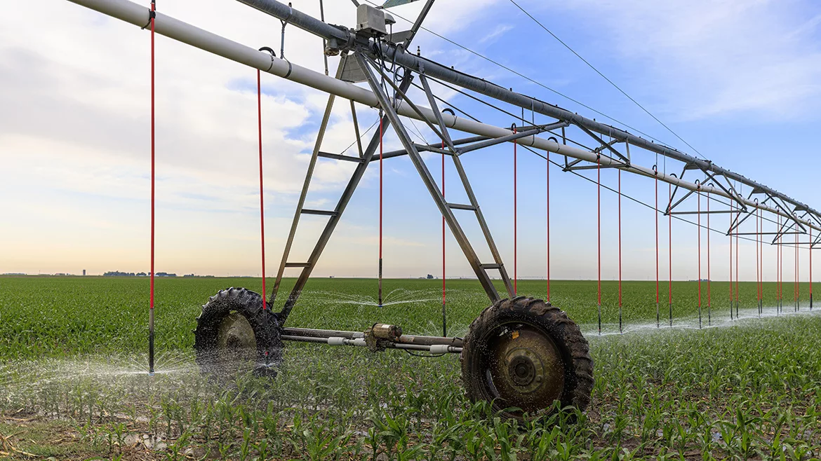 GI-2167835902-1170x658.jpg Center pivot irrigation system waters a vast corn field in rural Kansas