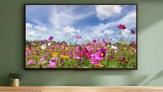 Flat screen television hanging on a wall in a living room with nature image on screen