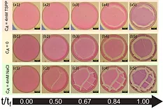 Raman Lead Image.jpg
