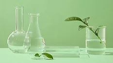 Glass podium and glass equipment decorated on green background with green leaves