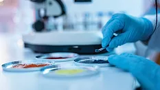 scientist conducting research investigations in a chemical laboratory